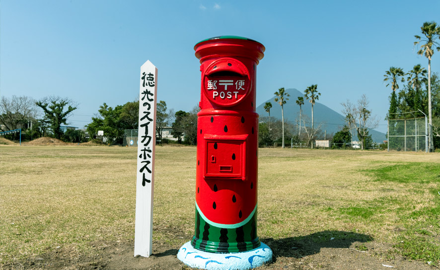 いぶすきブルワリー